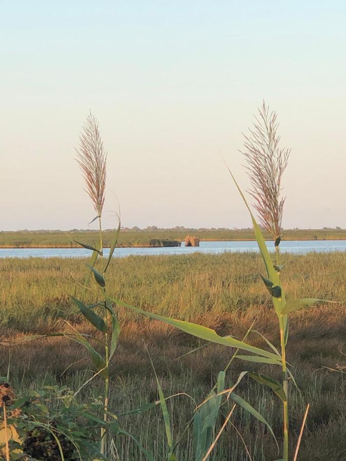 Mare&Terra... Alloggi Nel Delta Polesine Camerini Exterior photo